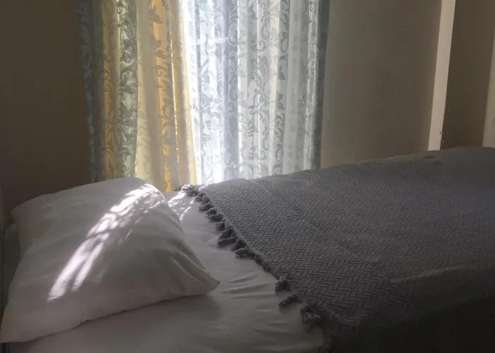 B&d Lou フェティエ