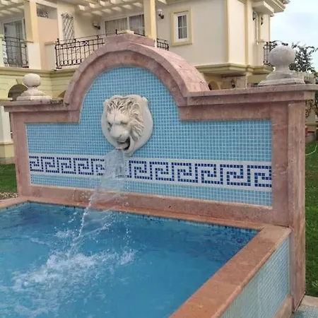 B&d Lou 费特希耶